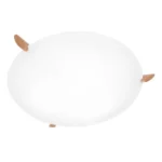 Ögla plafond
