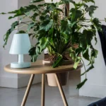 Edison the Ambiance bordslampa portabel