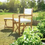 Haväng regissörsstol