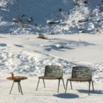 Zebra loungestol