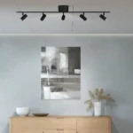Cato spotlight skena