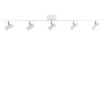 Cato spotlight skena