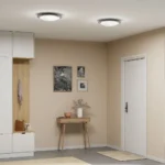 Cirklo plafond