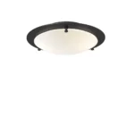 Cirklo plafond
