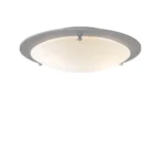 Cirklo plafond
