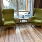Haga fåtölj hög öronlapp