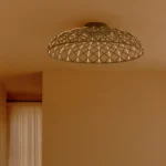 Skynest taklampa