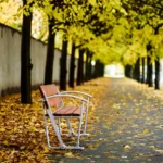 Waterloo soffa